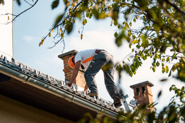 Best Best Roofing Contractors  in Niles, MI