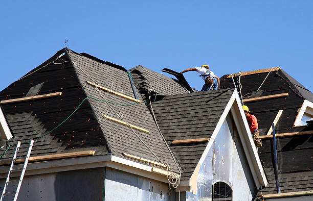 Best Shingle Roofing Installation  in Niles, MI