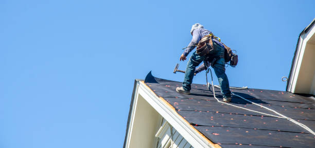 Best Storm Damage Roof Repair  in Niles, MI